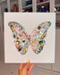 Butterfly #146